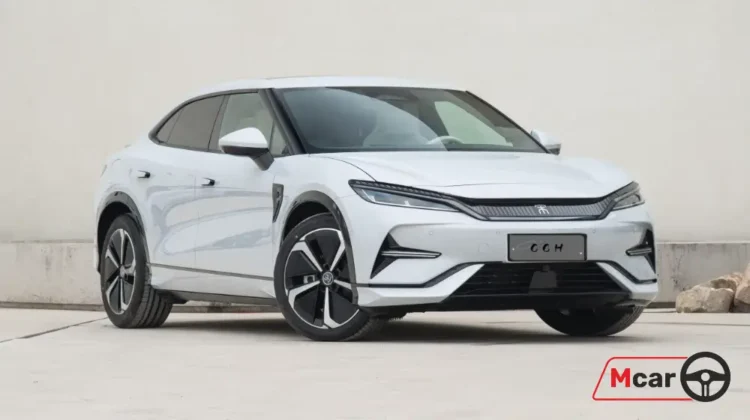 BYD Song L
